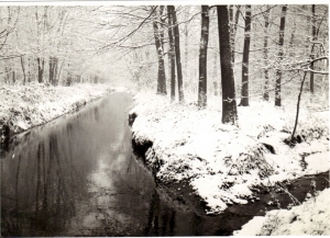 F31 Hissinkbeek in het Vordense bos, 1963
